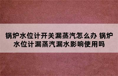 锅炉水位计开关漏蒸汽怎么办 锅炉水位计漏蒸汽漏水影响使用吗